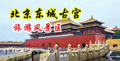 太大了进的好深啊。太刺激了视频中国北京-东城古宫旅游风景区